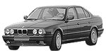 BMW E34 DF315 Fault Code