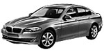 BMW F10 DF315 Fault Code